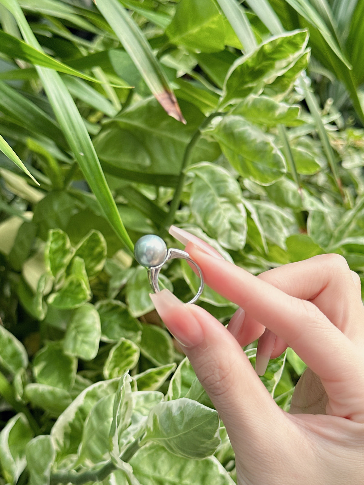 【現貨】925銀+大溪地珍珠戒指11.5mm【ST314】