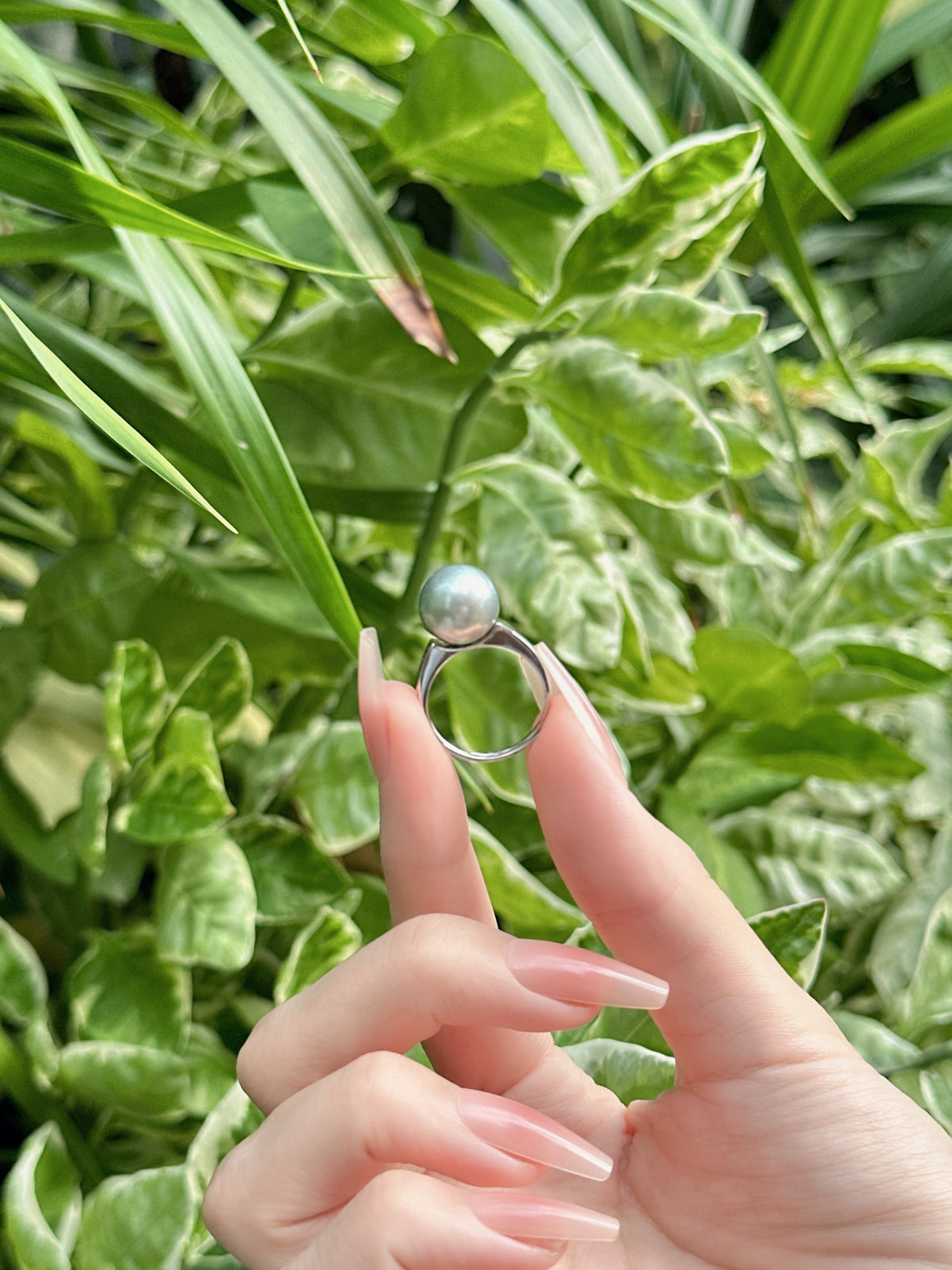 【現貨】925銀+大溪地珍珠戒指11.5mm【ST314】