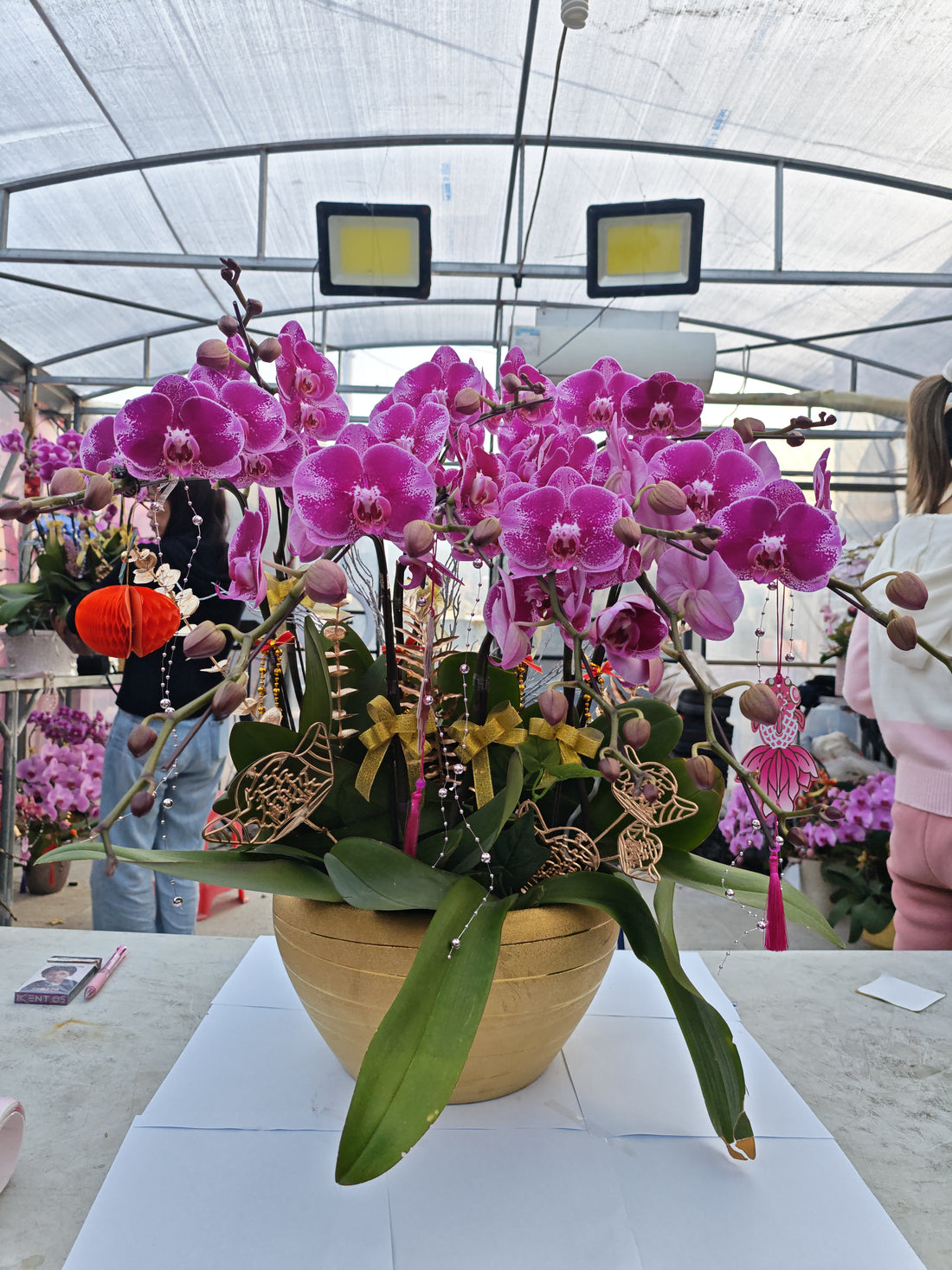 馬年賀年花【SW001】