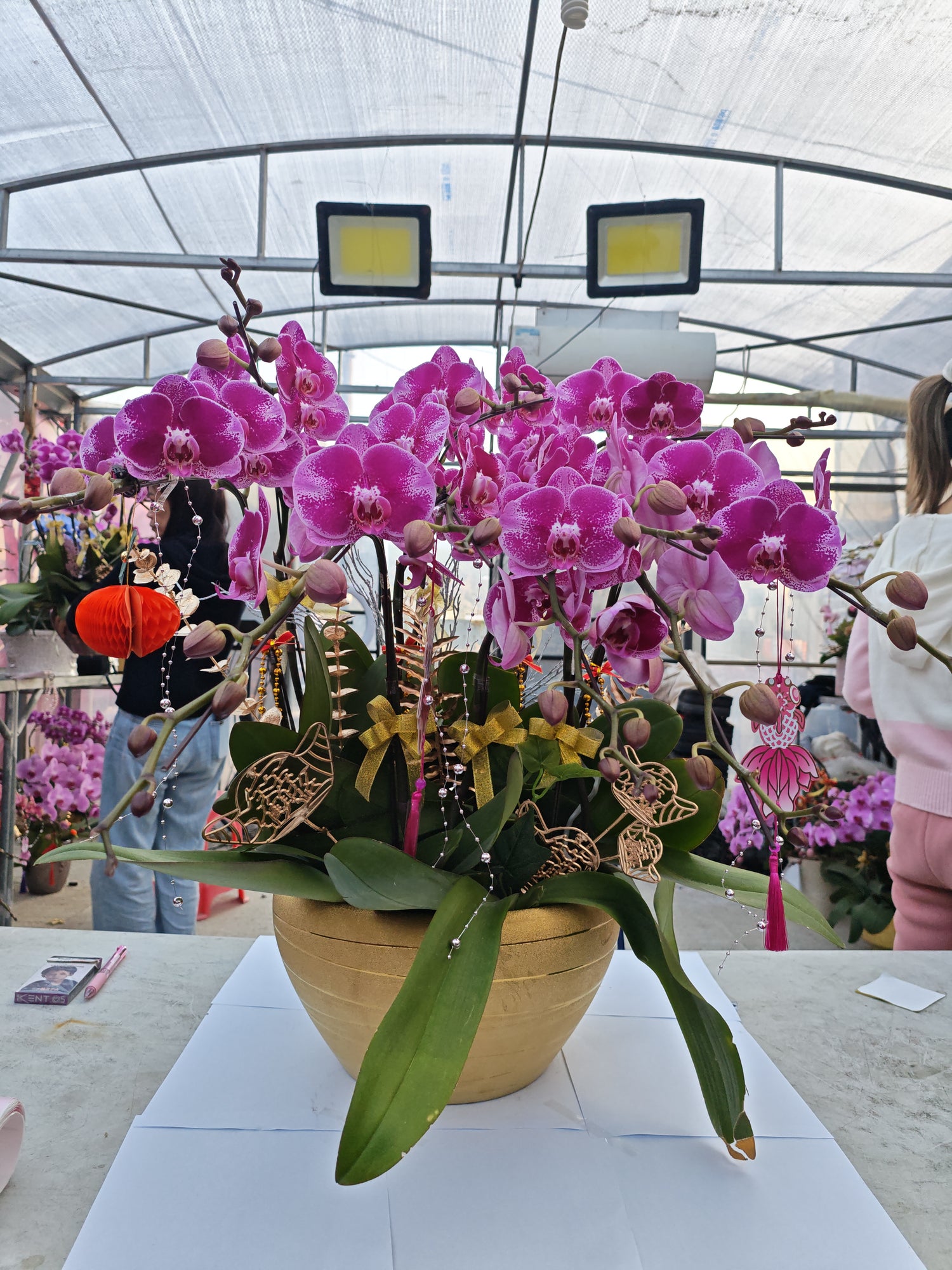 馬年賀年花【SW001】