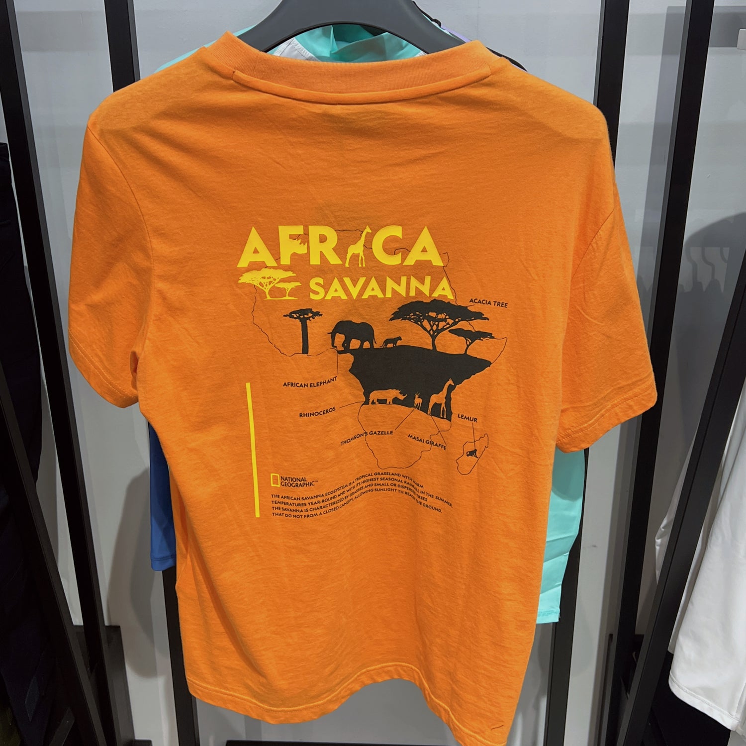 韓國 National Geographic Unisex African Short Sleeve T-Shirt【NG655】