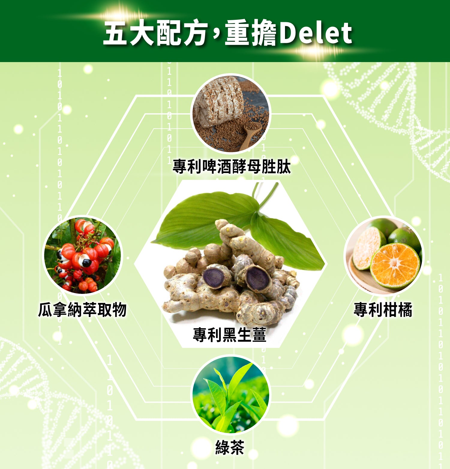 倍力纖 紅纖素20粒+綠纖素40粒【SA071】