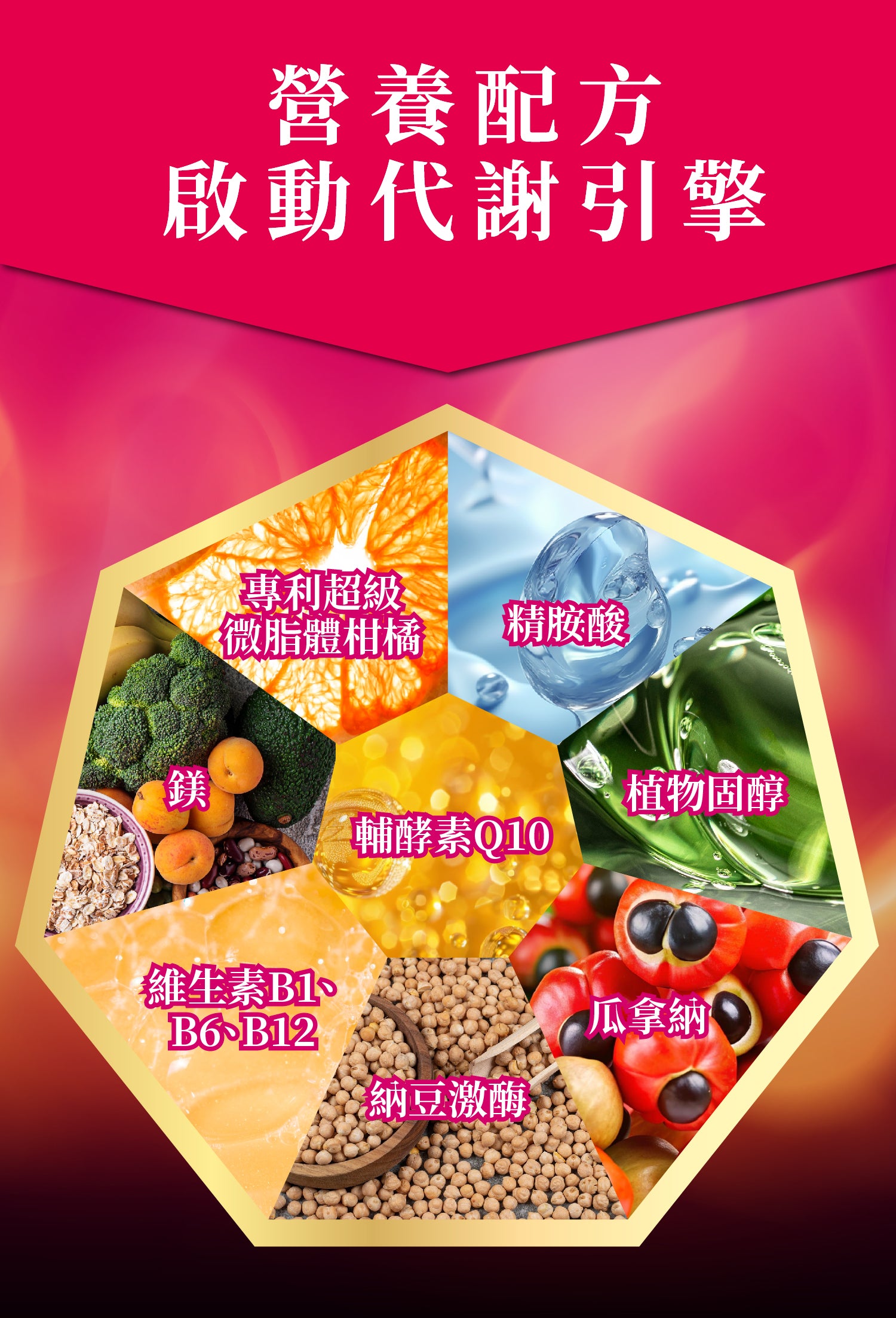倍力纖 紅纖素20粒+綠纖素40粒【SA071】