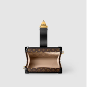 Louis Vuitton Petite Malle Bag