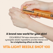 韓國製 VT Vita-Light Reedle Shot 100 Stick 2ml (10EA)